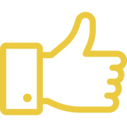 An icon depicting a thumbs up.